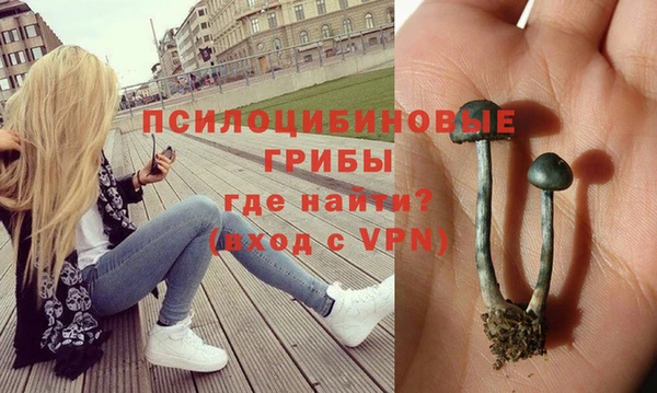 не бодяженный Богородицк